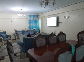 The Castle Apartment